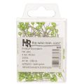 Épingles à fleurs à tête de perle verte, usage polyvalent, Ø 4 mm, 40 mm, 150 pièces | Floristik24.fr