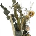 Bouquet de fleurs séchées eucalyptus coffret fleuristerie sèche H30-35cm