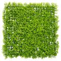Floristik24 Plante Artificielle Buisson Carré 55x55 cm pour Décoration Murale