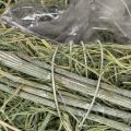 Duo de cœurs en herbe naturelle avec revêtement plastique 14 cm | Floristik24.fr