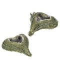 Floristik24 Plaque cœur en matières naturelles avec film protecteur 22 cm, lot de 2