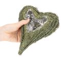 Plaque cœur en matières naturelles avec film protecteur 22 cm, lot de 2 | Floristik24.fr