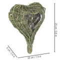Cœur en matériau naturel avec film protecteur 25 cm pour compositions florales | Floristik24.fr