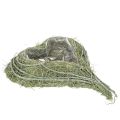 Floristik24 Coupe cœur en herbe naturelle avec film plastique, 38 cm, vert