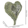 Coupe cœur en herbe naturelle avec film plastique, 38 cm, vert | Floristik24.fr