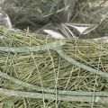 Coupe cœur en herbe naturelle avec film plastique, 38 cm, vert | Floristik24.fr