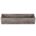 Plateau rectangulaire compact 23 cm en plastique anthracite | Floristik24.fr