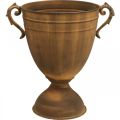 Floristik24 Cache-pot aspect rouille coupe vase métal Ø22,5cm H32,5cm