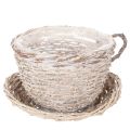 Floristik24 Tasse décorative en osier blanc-gris avec soucoupe 34 cm