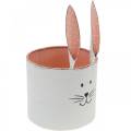 Floristik24 Cache-pot tête de lapin, décoration de Pâques, lapin en métal, décoration printanière à planter