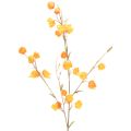 Floristik24 Branche artificielle de Physalis avec fleurs 95 cm en plastique et tissu orange