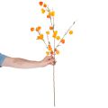 Branche artificielle de Physalis avec fleurs 95 cm en plastique et tissu orange | Floristik24.fr