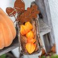 Floristik24 Physalis Orange Assortiment de 22 calices de fleurs artificielles décoratives