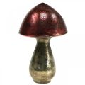 Floristik24 Déco champignon rouge grand verre déco automne Ø14cm H23cm