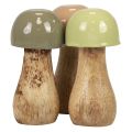 Floristik24 Champignons en bois champignons décoratifs bois beige, vert Ø5cm H10,5cm 6pcs