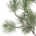 Floristik24 Branche de Noël déco branche pin branche enneigée 77cm