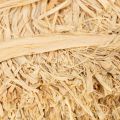 Bottes de raphia naturel pour l'art floral et l'emballage cadeau, 1 kg | Floristik24.fr