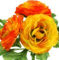Floristik24 Bouquet de renoncules orange L 20 cm