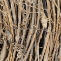 Couronne décorative branches de rotin blanchies 50 cm | Floristik24.fr