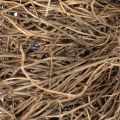 Couronne en Vignes Naturelles 25 cm pour Créations et Décoration Intérieure | Floristik24.fr