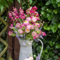Floristik24 Rhodanthe rose-rose, fleurs en soie, plante artificielle, bouquet de fleurs en paille L46cm