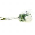 Floristik24 Rose blanche 44cm pour la décoration 6pcs