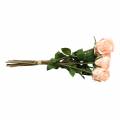 Floristik24 Bouquet de roses artificielles abricot 8pcs