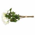 Floristik24 Fleurs décoratives en soie roses en bouquet crème 36cm 8pcs