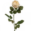 Floristik24 Rose couleur crème, fleur en soie, rose artificielle L74cm Ø7cm