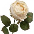 Floristik24 Rose couleur crème, fleur en soie, rose artificielle L74cm Ø7cm