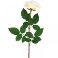 Rose abricot blanc crémeux, fleur de soie, roses artificielles L72cm Ø12cm