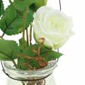 Floristik24 Rose dans le verre blanc H23cm