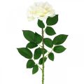 Floristik24 Fleur en soie, rose sur tige, plante artificielle blanc crème, rose L72cm Ø13cm