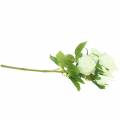 Floristik24 Rose blanche 40cm