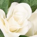 Guirlande de roses