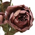 Floristik24 Branche de rose artificielle violet 76cm