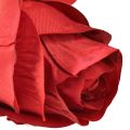 Floristik24 Branche de Rose Fleur en Soie Rose Artificielle Rouge 72cm