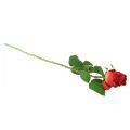 Floristik24 Branche de Rose Fleur en Soie Rose Artificielle Rouge 72cm