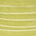 Ruban en velours 10 mm x 20 m pour décorations et projets créatifs, vert sauge | Floristik24.fr
