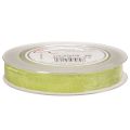 Ruban en velours vert sauge 20