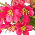 Kunstzweig Orchidée Oncidium 112 cm Lot de 3 en Tissu et Plastique | Floristik24.fr