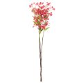 Kunstzweig Orchidée Oncidium