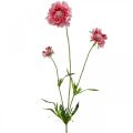 Décoration florale artificielle, fleur artificielle scabious rose 64cm lot de 3pcs
