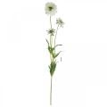 Scabious fleur artificielle blanche fleur de jardin H64cm bouquet avec 3pcs
