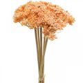 Floristik24 Achillée artificielle fleurs artificielles orange 50cm 5pcs en bouquet