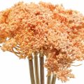Floristik24 Achillée artificielle fleurs artificielles orange 50cm 5pcs en bouquet