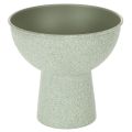 Floristik24 Coupe à plante en métal sur pied haut ronde 18cm vert clair