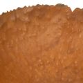 Coupe ronde en métal effet rouille surface texturée 20 cm | Floristik24.fr