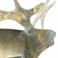 Floristik24 Bol avec tête de renne métal doré aspect antique Ø14cm