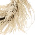 Déco couronne herbe de pampa et roseau artificiel crème 70cm